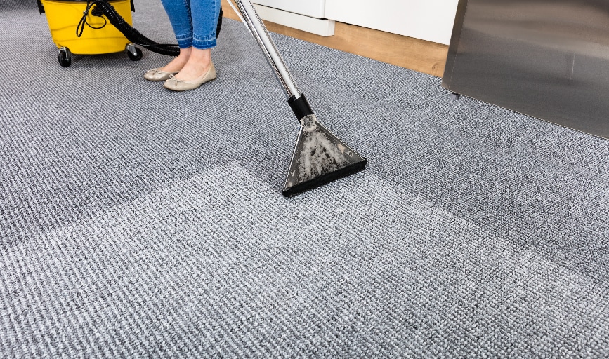 Crazy Clutter Cleaners
